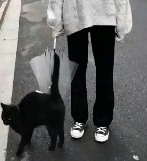 伤感系女生头像念旧的人活着像个拾荒者