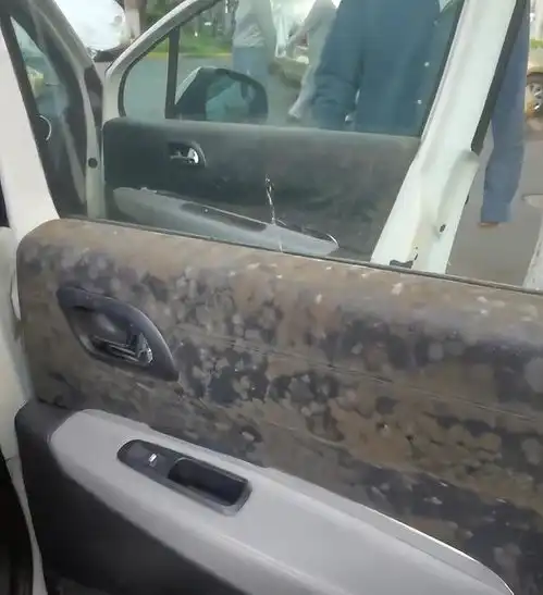 上海一女子爱车停户外2个月,解封后开车门直呼可怕变僵尸车了