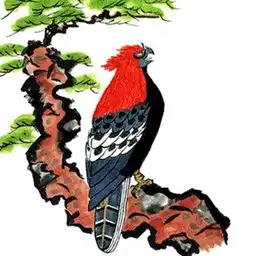 十二生肖与五行