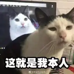 难道这就是传说中的,丑变美,胖变瘦,男人变女人的神奇巫术吗