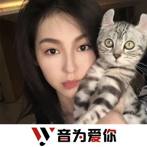 决不放弃抖音热歌dj虞姬圈妹yixiu高音质在线试听决不放弃歌词歌曲下载酷狗音乐