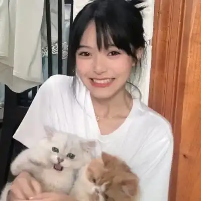 星空手机官网网页版