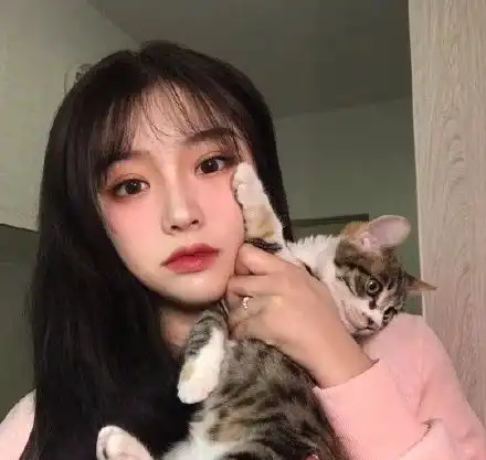 抱猫咪头像太赞了