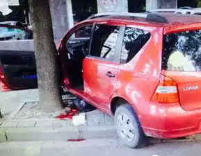 女司机开车请远离倒车把头夹在树之间