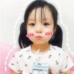 红蔷薇