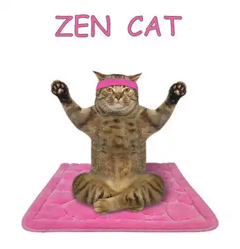 点击来源直接获取大图文件戴着运动发带的米色猫咪运动员在粉色健身垫上做瑜伽摄影搞笑猫猫高清大图