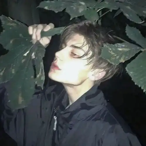 朋友圈背景图偷得浮生半日闲