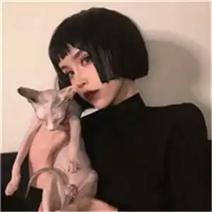 女生抱着猫很酷的头像美女与猫你到底喜欢那个