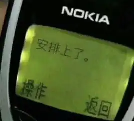 人民币安排上了,问题不大