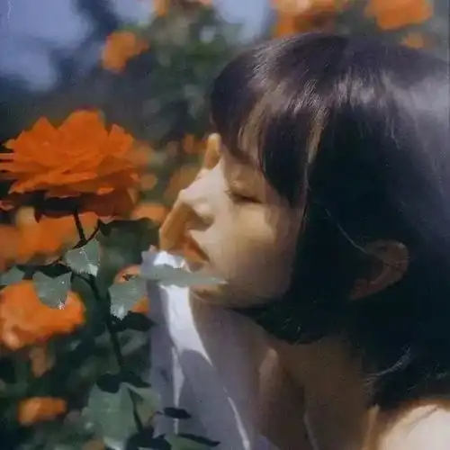 小众高颜值微信头像