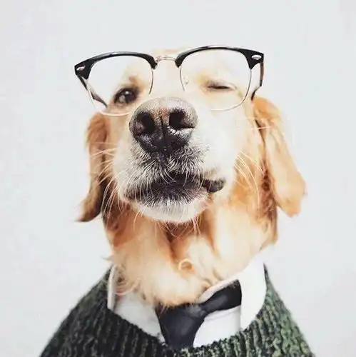 有哪些好看的单身头像