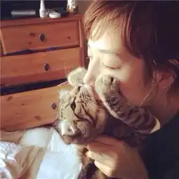 关于抱猫美女头像可爱清纯2018美女抱猫咪的头像图片