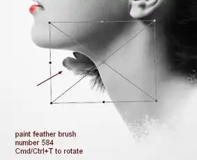 合成碎片飞散的黑白抽象美女头像