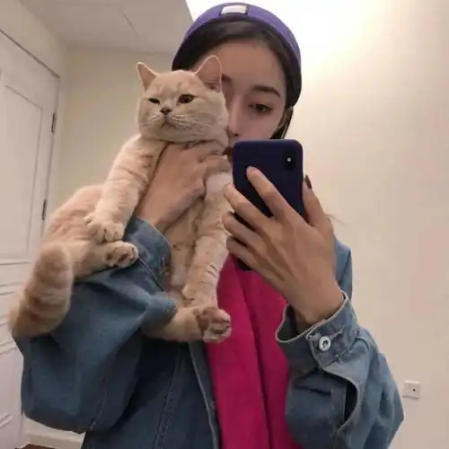 高质量微信头像绝绝子呀