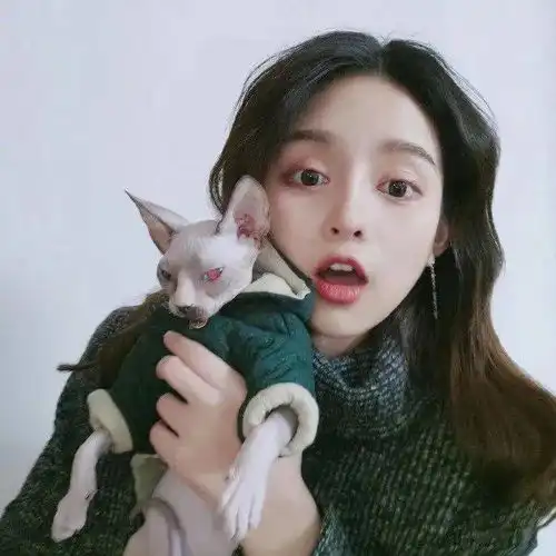 没有动态的日子就是在好好打游戏