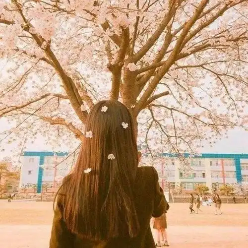 十二星座中最难征服的三大星座