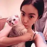 美少女战士抱着猫头像微信头像图片大全