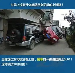 一周车事囧图女司机刹车当油门开车骑上suv