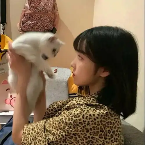 抱猫咪头像太赞了