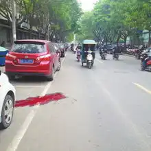 郑州闹市区女子抱狗驾车致人死亡肇事后稍停加速逃逸