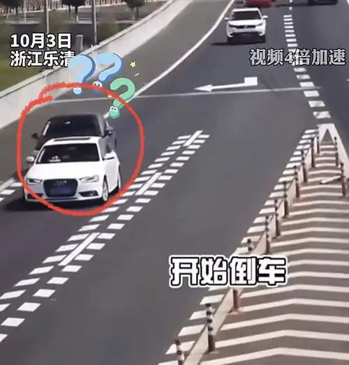 奇葩浙江奥迪女司机高速倒车看虚线以为可以倒,多次差点撞车