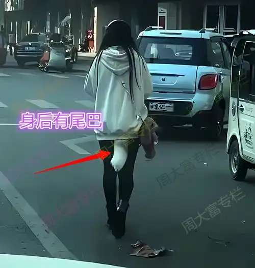 女子身后有一条尾巴,男子开车跟着觉得好奇她是怎么固定的