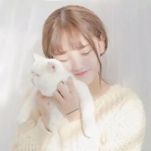 头像想走的人留不住,装睡的人永远叫不醒